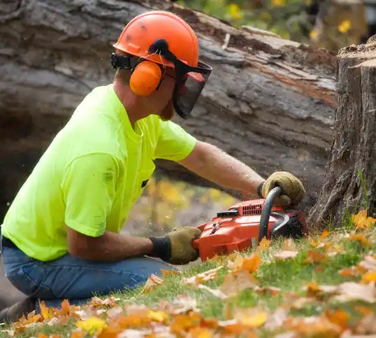 tree services Iota